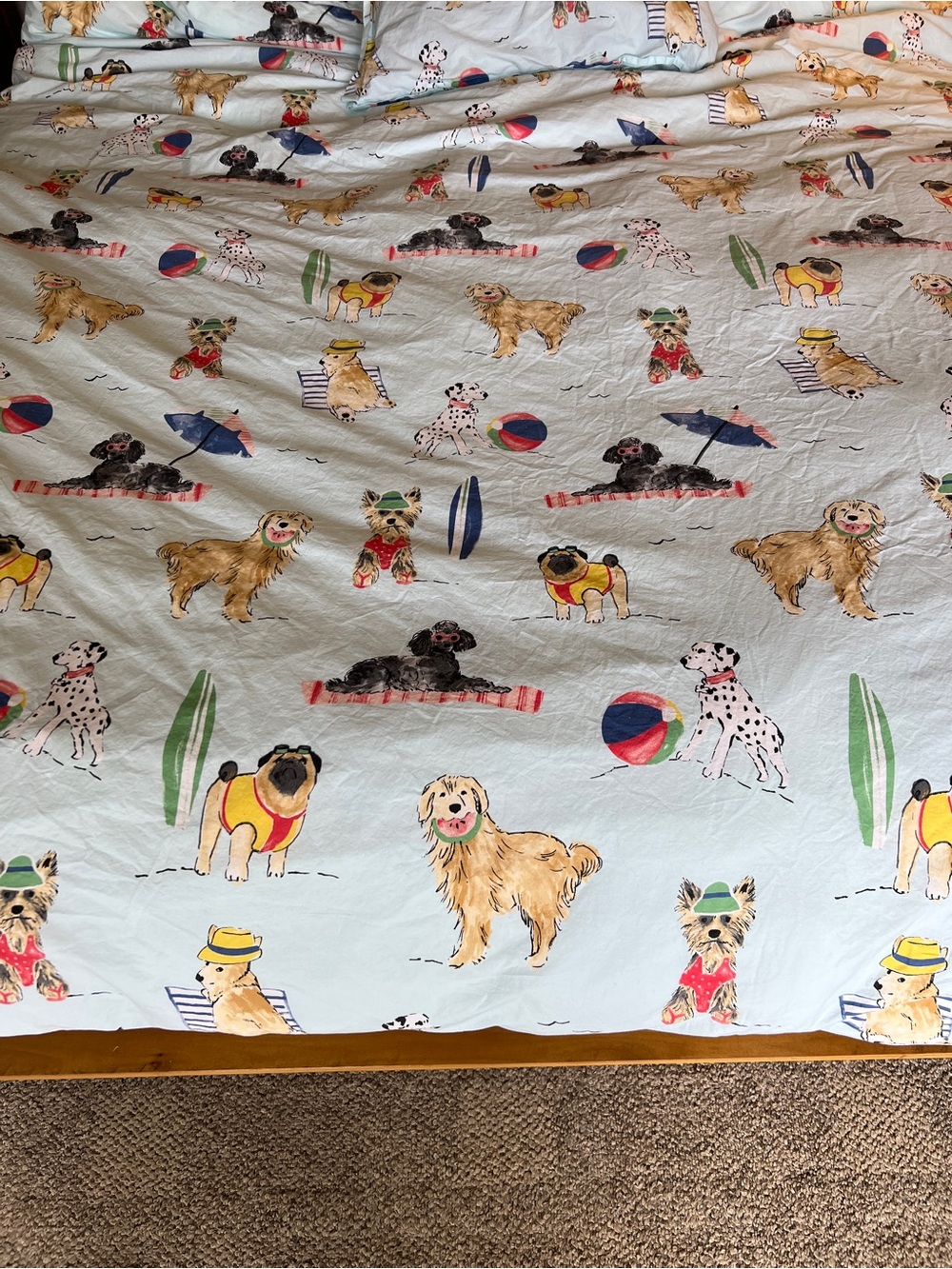 Company Store beach dog Queen Size Duvet w/sham